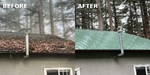 THE STANDARD IN EXTERIOR CLEANING