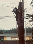 Tree Trouble? We've got you covered!