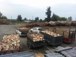 MAPLE Firewood for sale